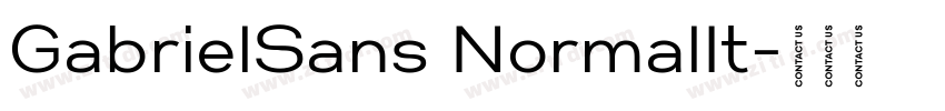 GabrielSans NormalIt字体转换